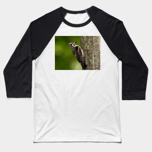 Yellow-bellied Sapsucker Baseball T-Shirt